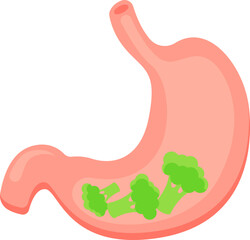 Broccoli diet for stomach health flat icon