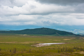 Scenic landscape with sunlit moss plateau with coniferous small trees and green forest hill in center against large mountain range in rainy low clouds. Beautiful mountain scenery at changeable weather