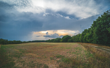 Obraz premium Celle, 25.11.2022