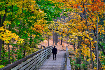 A man walking across the  bridge in autumn with a dog