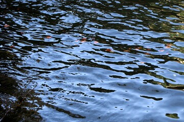 Photography city zwolle texture and patterns rough wallpaper