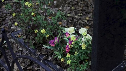 Flowers on a grave at cemetery