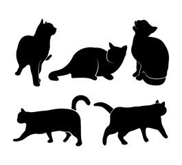 Silhouettes of cats in different positions. Lying, sitting, standing and running animal. Black print isolated on white background. Set.