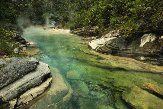 rainforest landscape with a river