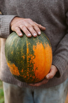 Old hands holding round pumpkin outdoor