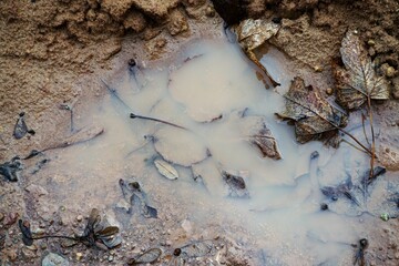 Wasserpfütze mit Laubblättern im Schlamm im Herbst
