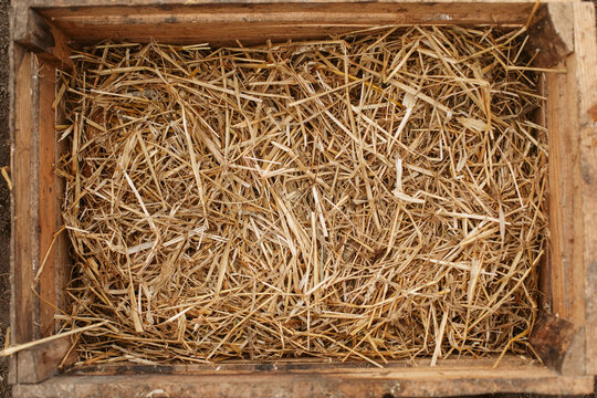Wooden box with hay