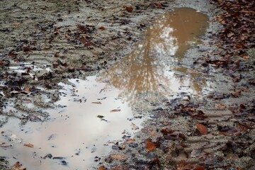 Braune Schlammlandschaft mit Wasserpfütze und Bam- und Himmelspiegelung im Winter