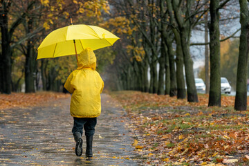 Back view on boy with an umbrella walking in the rain in autumn park. Child on the walk.