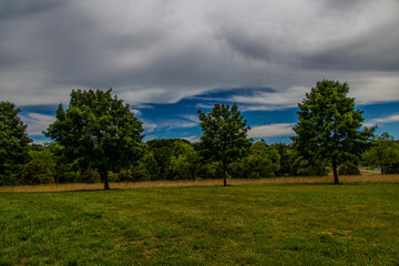 summer landscape with green trees, meadow, fields and sky with white clouds