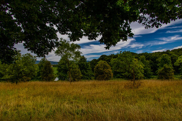 Fototapeta na wymiar summer landscape with green trees, meadow, fields and sky with white clouds