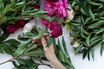 Woman's hand holding peony flower