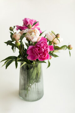 Pink flowers in glass vase on white background