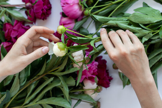 Creating bouquet from white peony flowers