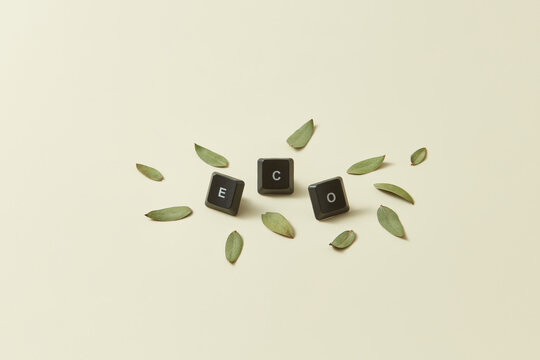 ECO computer keys word with green leaves.
