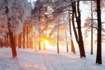 Winter scenic sunrise - 546690724