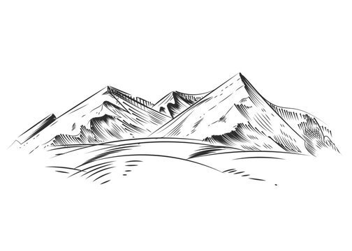 Hand drawn sketch black and white of mountains, tree landscape. Vector illustration. Elements in graphic style label, sticker, menu, package. Engraved style.