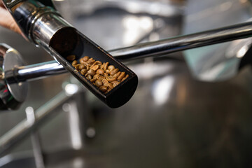 Close up of freshly roasted coffee beans