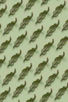Pattern of repeated fallen leaves on green.