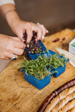 woman picking greens 