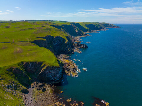 St. Abbs Head coastal cliffs aerial view in summer near village of St. Abbs, Berwickshire, Scotland, UK. 
