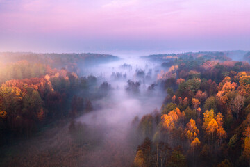 Aerial view of foggy forest at colorful sunrise in autumn in Irpen, Ukraine. Beautiful landscape...