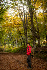 Fototapeta premium Young woman enjoying the fall colors among beech trees in October.