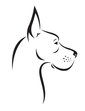 Dog great dane isolated on transparent background. Pet. Animals.