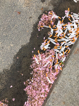 Spring & cigarettes