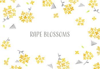 rape blossoms frame