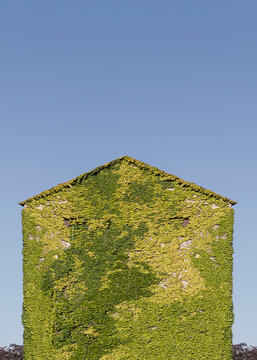 ecology house overgrown with green plants and blue sky