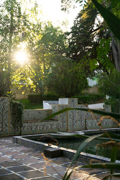 Pond In Garden At Sunset 