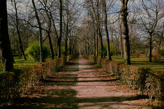 path in the park