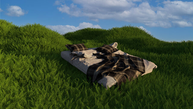 Bed in the Grass FIeld