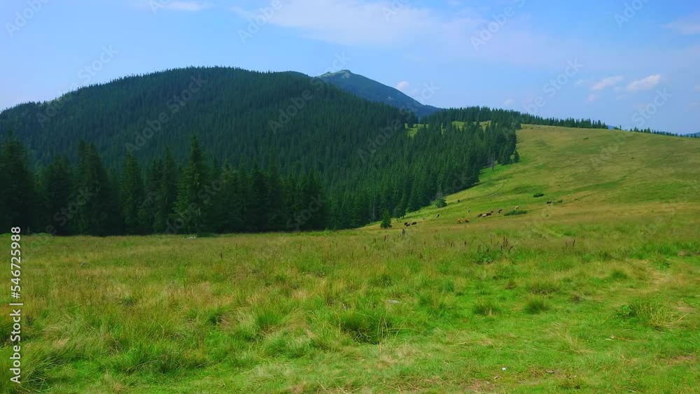 Wall mural Explore Gorgany Mountain Range in Carpathians, Ukraine