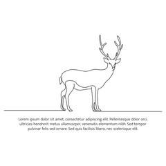 Deer line design. Wildlife decorative elements drawn with one continuous line. Vector illustration of minimalist style on white background.