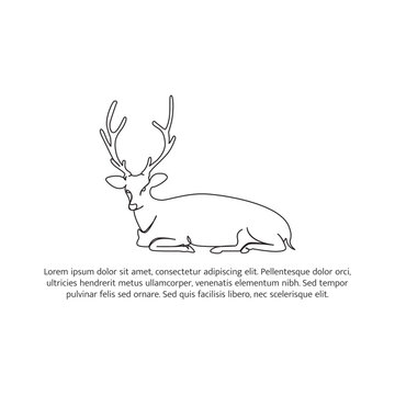 Deer line design. Wildlife decorative elements drawn with one continuous line. Vector illustration of minimalist style on white background.