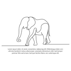 Elephant line design. Wildlife decorative elements drawn with one continuous line. Vector illustration of minimalist style on white background.