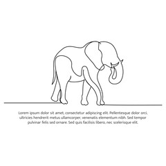 Elephant line design. Wildlife decorative elements drawn with one continuous line. Vector illustration of minimalist style on white background.