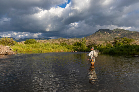 Young man Fly Fishing Provo River Utah in United States 