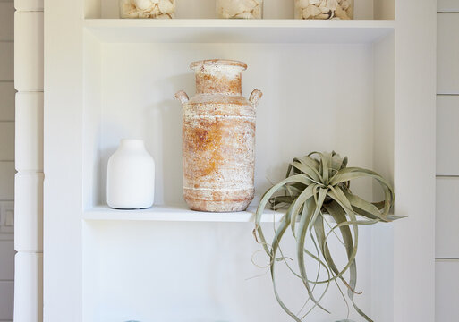 Shelf with decor and air plant inside a farmhouse bathroom