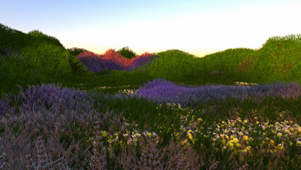 Colorful Grass FIeld