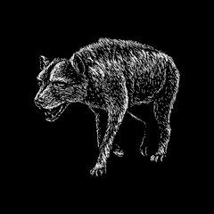 Dinocrocuta hand drawing vector isolated on black background.