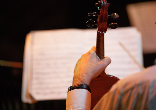 Violin