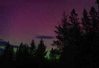 Northern Lights in Washington