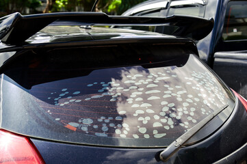 car window tint bubbles damage ripped repair ,adhesive holding the tint in place gets old and...