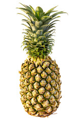 Fresh ripe pineapple with clear transperency background. pineapple fully vitamin fruit
