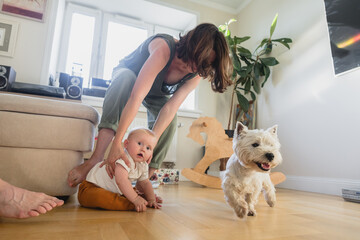 Baby and dog at home