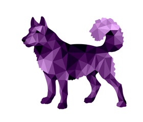 low poly style image, painted dog, husky, for decoration and stickers.,  ESP