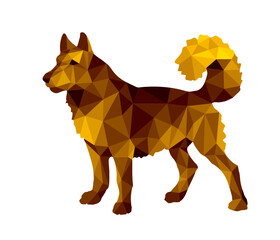 low poly style image, painted dog, husky, for decoration and stickers.